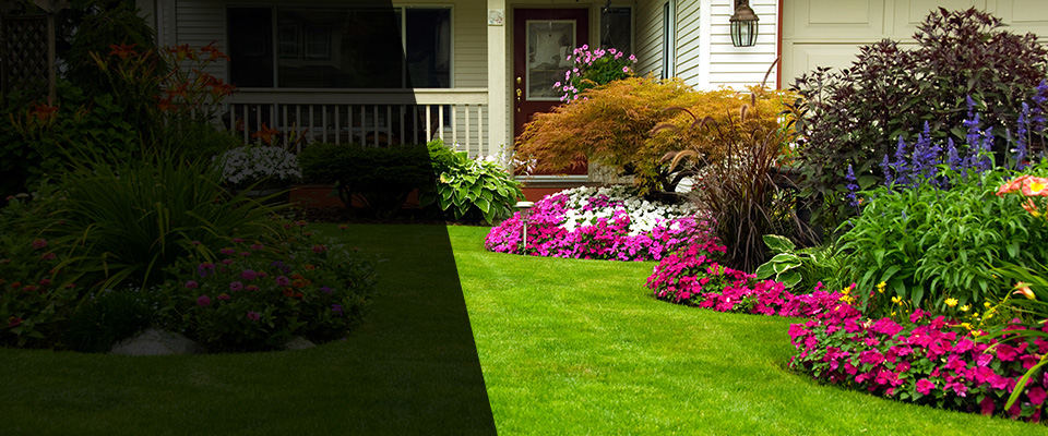 Johnson City Landscapers